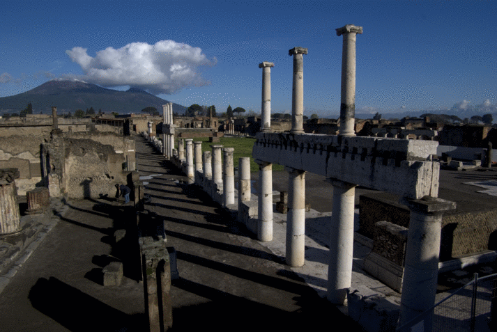 Das Forum von Pompeji. Einer der Forschungsschwerpunkte des Projekts. (Foto Kockel)