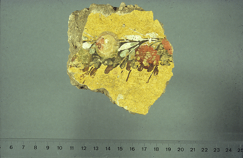 Ostia, sog. Macellum. Fragment qualitätvoller Wandmalerei aus einem später überbauten Raum aus der Mitte des 1. Jhs. n. Chr. (Foto Kockel) 